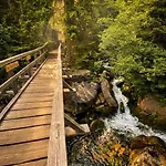 Rezidence Alpina - In Out - 27 아파트 Špindlerŭv Mlýn