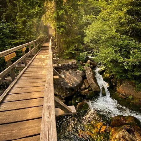 Rezidence Alpina - In Out - 27 Lägenhet Špindlerŭv Mlýn