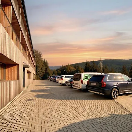 Rezidence Alpina - In Out - 27 * Spindleruv Mlyn